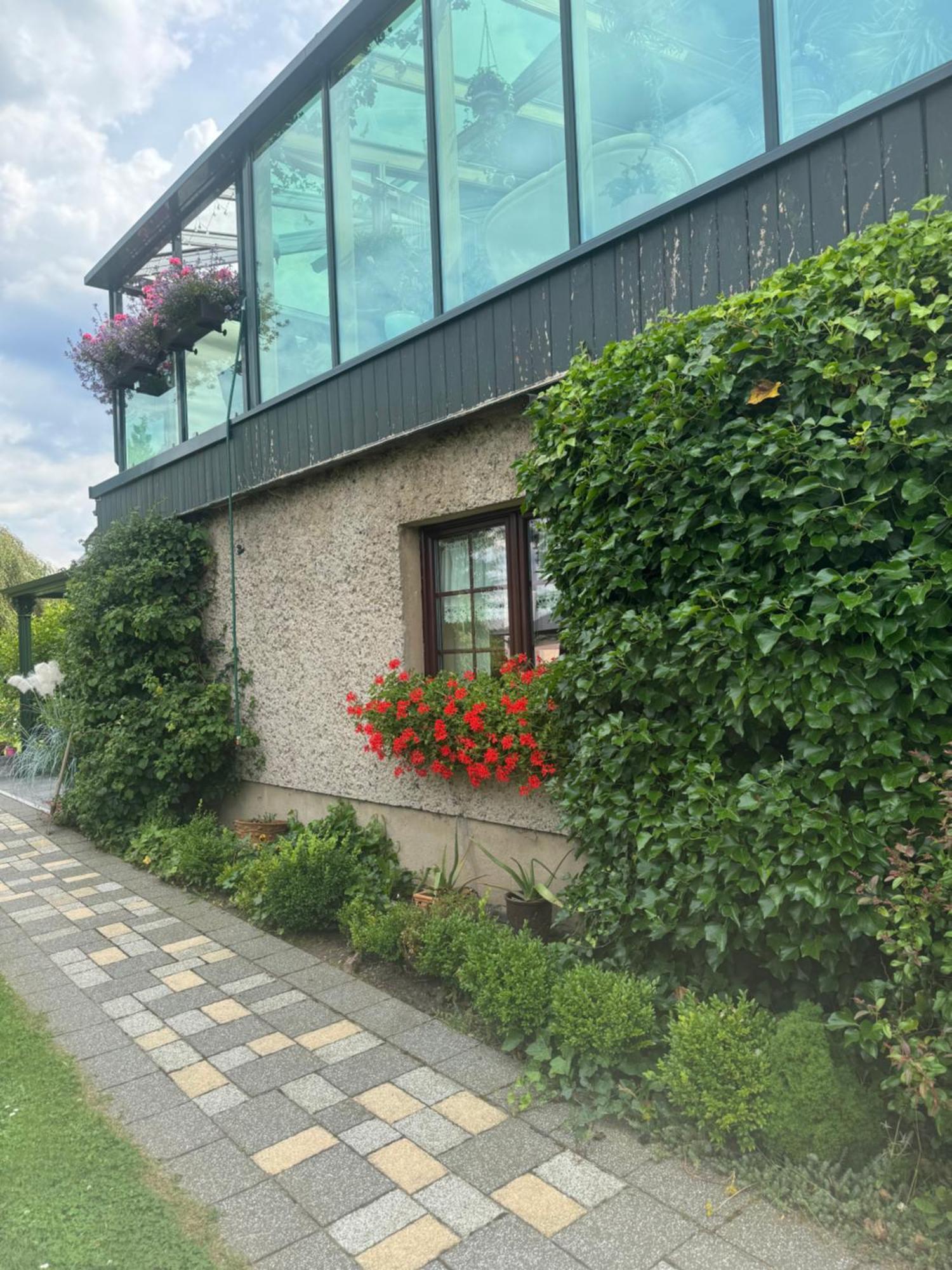 Ferienwohnung Hinterhermsdorf Glaser Зебниц Екстериор снимка