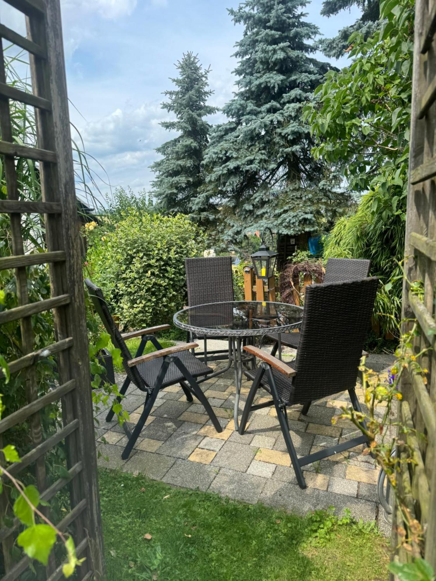 Ferienwohnung Hinterhermsdorf Glaser Зебниц Екстериор снимка